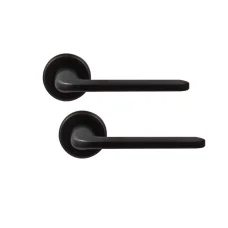 Дверная ручка Colombo Roboquattro ID 41